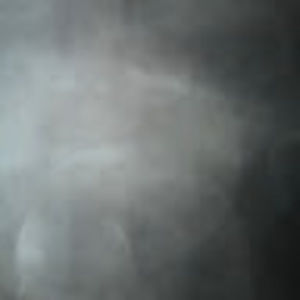 Meet your Posher, Leila